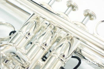 B♭Trumpet YTR-8335UGRS