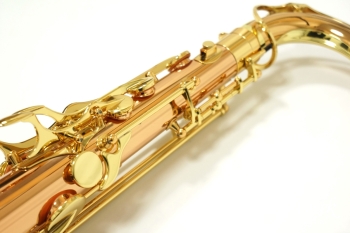 Tenor Saxophone  T-WO2