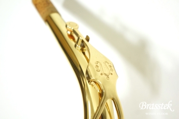 Alto Saxophone A-900μ