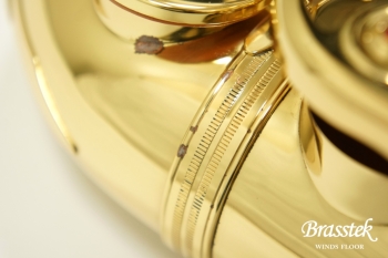 Alto Saxophone A-900μ