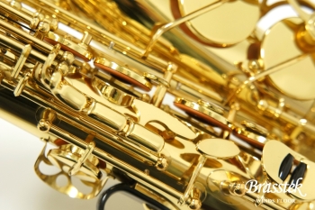 Alto Saxophone A-900μ