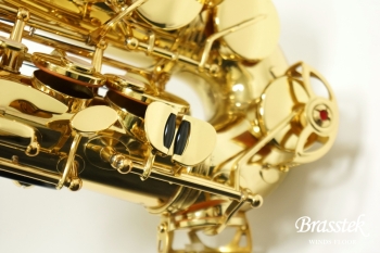 Alto Saxophone A-900μ