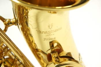 Alto Saxophone A-900μ