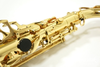 Alto Saxophone A-900μ