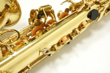 Alto Saxophone A-900μ