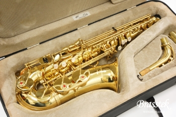 Alto Saxophone A-900μ