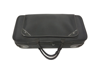 Alto Saxophone A-900μ