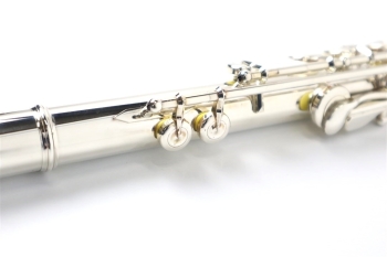 Flute EX-RC inline