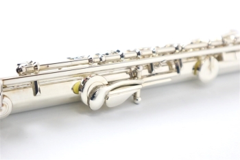 Flute EX-RC inline
