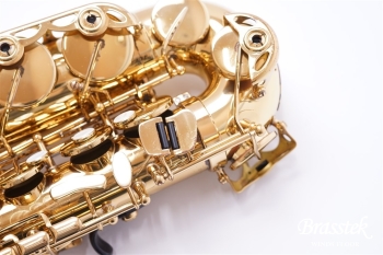 Alto Saxophone Axos