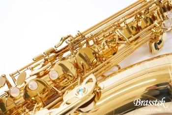 Tenor Saxophone T-WO1