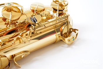 Tenor Saxophone T-WO1