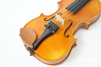 Violin VS-2 1/10