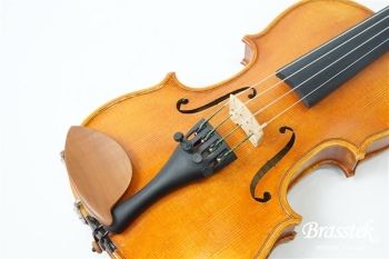 Violin VS-2 1/10