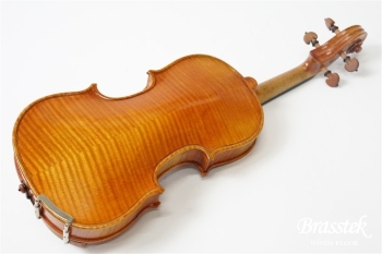 Violin VS-2 1/10