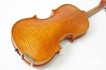 Violin VS-2 1/10