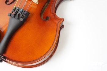 Violin VS-1 1/2