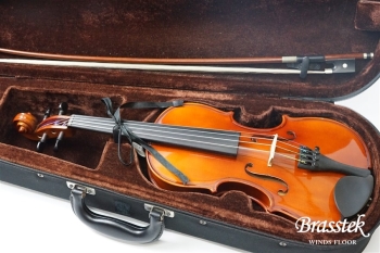 Violin VS-1 1/2