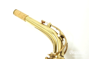 Alto Saxophone SA80 (SERIE l) W/E 