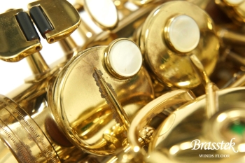 Alto Saxophone SA80 (SERIE l) W/E 