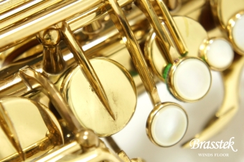 Alto Saxophone SA80 (SERIE l) W/E 