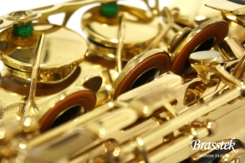 Alto Saxophone SA80 (SERIE l) W/E 