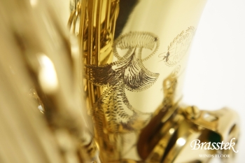 Alto Saxophone SA80 (SERIE l) W/E 