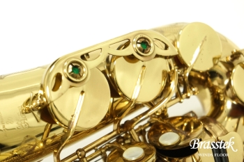 Alto Saxophone SA80 (SERIE l) W/E 