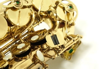 Alto Saxophone SA80 (SERIE l) W/E 