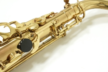 Alto Saxophone SA80 (SERIE l) W/E 