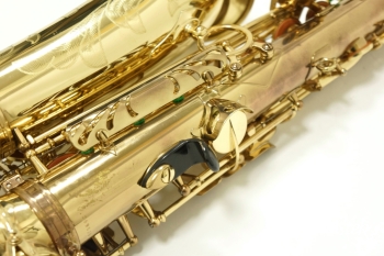 Alto Saxophone SA80 (SERIE l) W/E 