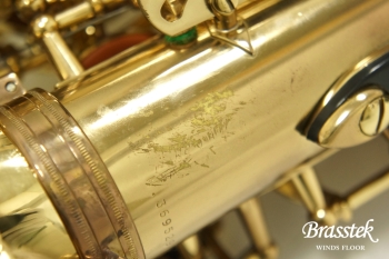 Alto Saxophone SA80 (SERIE l) W/E 