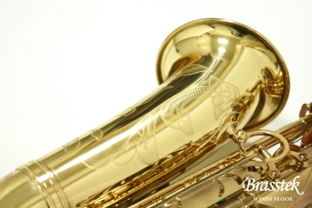 Alto Saxophone SA80 (SERIE l) W/E 