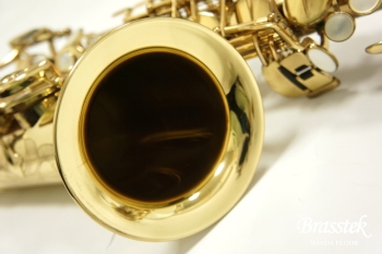 Alto Saxophone SA80 (SERIE l) W/E 