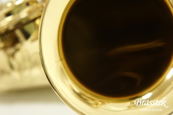 Alto Saxophone SA80 (SERIE l) W/E 