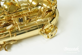 Tenor Saxophone T-WO10