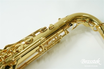 Tenor Saxophone T-WO10