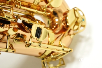 Tenor Saxophone  T-WO2