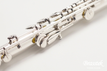 Flute EX-RCE【新品M’sフルートケースカバー付き】