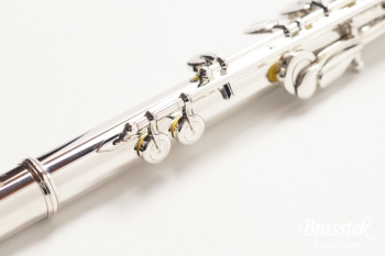 Flute EX-RCE【新品M’sフルートケースカバー付き】