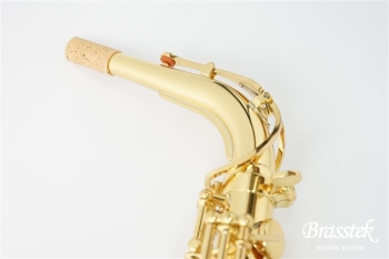 Alto Saxophone YAS-280