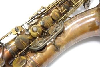 Tenor Saxophone Sepia VI