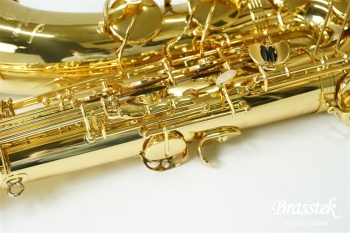 Tenor Saxophone T-WO10