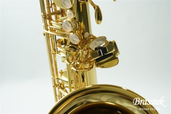 Tenor Saxophone T-WO10