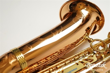 Alto Saxophone A-WO20