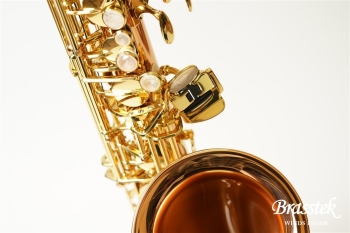 Alto Saxophone A-WO20