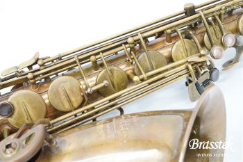 Tenor Saxophone Sepia VI