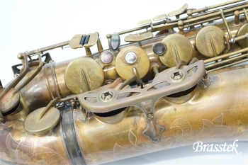 Tenor Saxophone Sepia VI