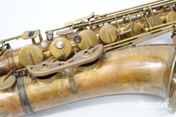 Tenor Saxophone Sepia VI