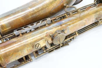 Tenor Saxophone Sepia VI